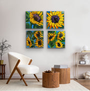 Four sunflower paintings impasto artwork by Sharon West